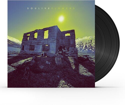 SOULIVE - FLOWERS Vinyl LP