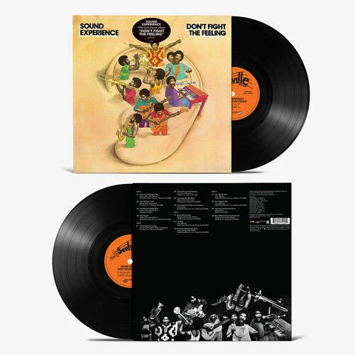 SOUND EXPERIENCE - DON'T FIGHT THE FEELING Vinyl LP