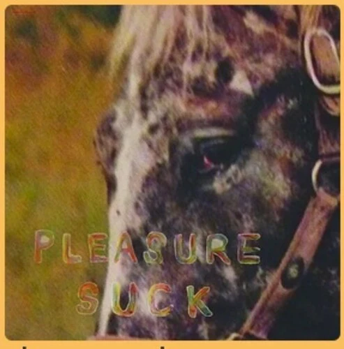 SPIRIT OF THE BEEHIVE - PLEASURE SUCK Vinyl LP