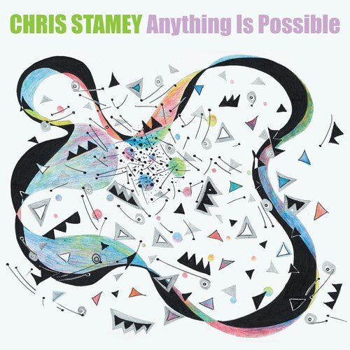 STAMEY,CHRIS - ANYTHING IS POSSIBLE Vinyl LP