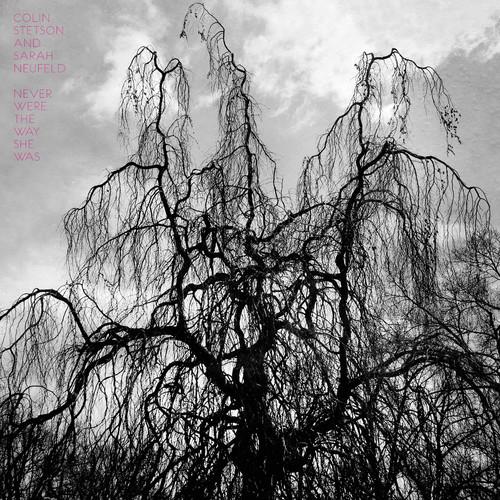STETSON,COLIN - NEVER WERE THE WAY SHE WAS Vinyl LP