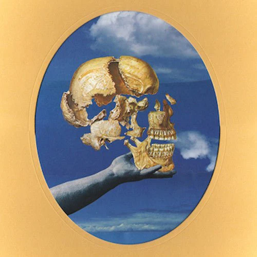 SUN ANGLE - SKULLFLOWER Vinyl LP