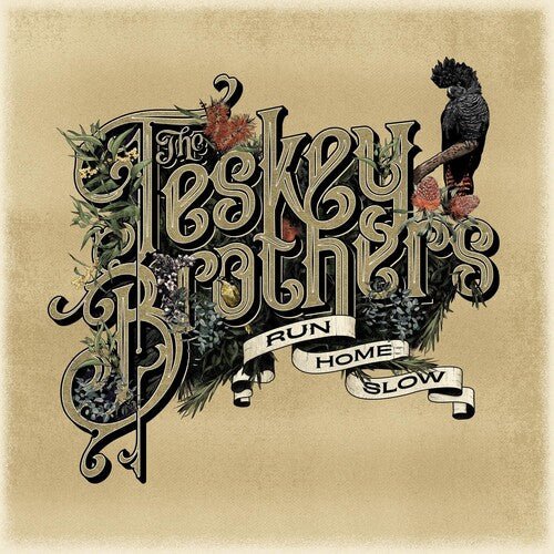 TESKEY BROTHERS - RUN HOME SLOW Vinyl LP