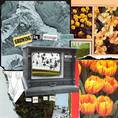 THANK YOU, I'M SORRY - GROWING IN STRANGE PLACES - ORANGE CRUSH Vinyl LP