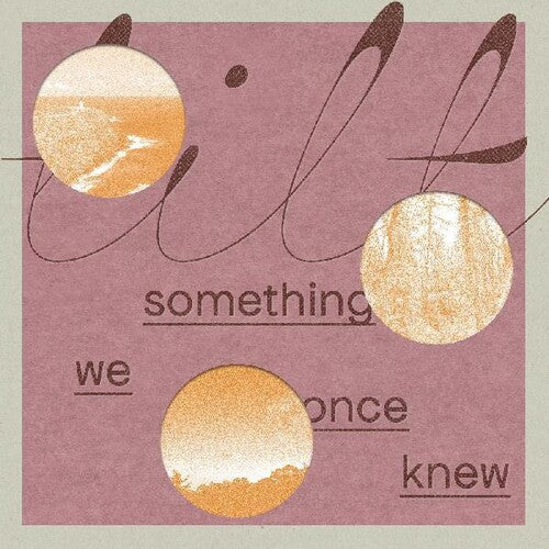 TILT - SOMETHING WE ONCE KNEW Vinyl LP