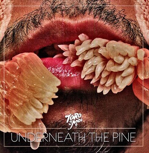TORO Y MOI - UNDERNEATH THE PINE Vinyl LP