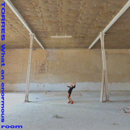 TORRES - WHAT AN ENORMOUS ROOM Vinyl LP