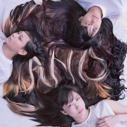 TRICOT - A N D Vinyl LP