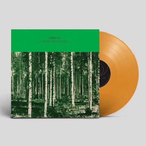 TUOHI KLANG - PENNSELMANN HITS VOL. 2765 Vinyl LP