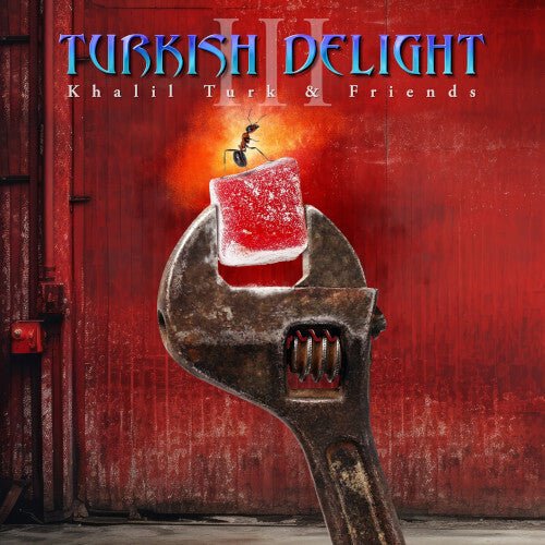 TURKISH DELIGHT VOLUME THREE / VARIOUS Vinyl LP