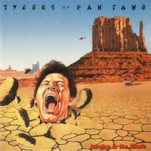 TYGERS OF PAN TANG - BURNING IN THE SHADE Vinyl LP