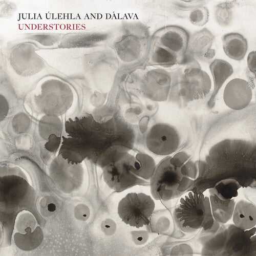 ULEHLA,JULIA & DALAVA - UNDERSTORIES Vinyl LP