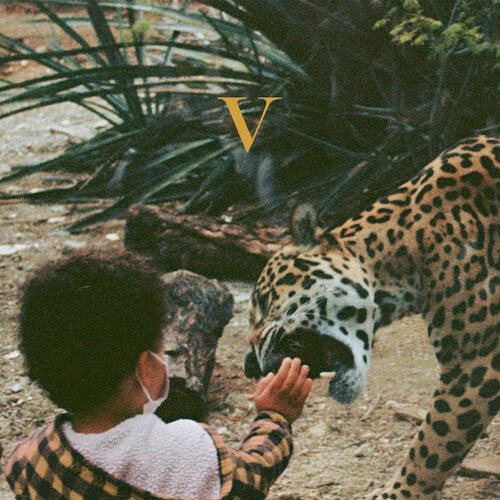 UNKNOWN MORTAL ORCHESTRA - V Vinyl LP