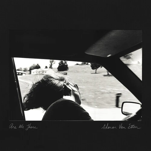 VAN ETTEN,SHARON - ARE WE THERE (10 YEAR ANNIVERSARY EDITION) Vinyl LP