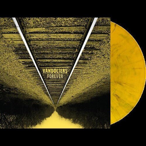 VANDOLIERS - FOREVER Vinyl LP