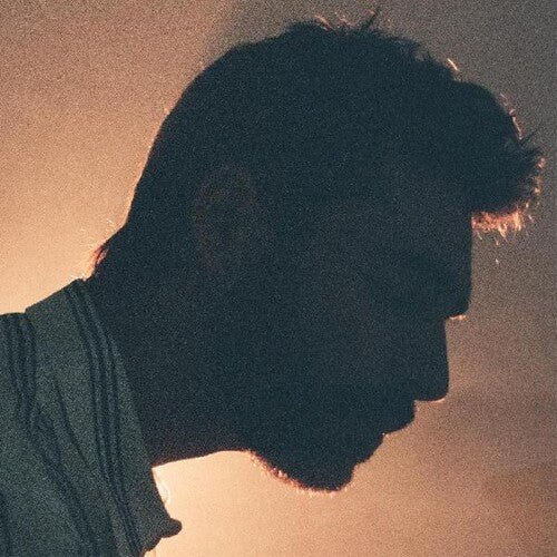 VOLLEBEKK,LEIF - NEW WAYS Vinyl LP