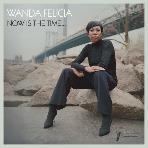 WANDA FELICIA / COLD DIAMOND & MINK - NOW IS THE TIME Vinyl LP
