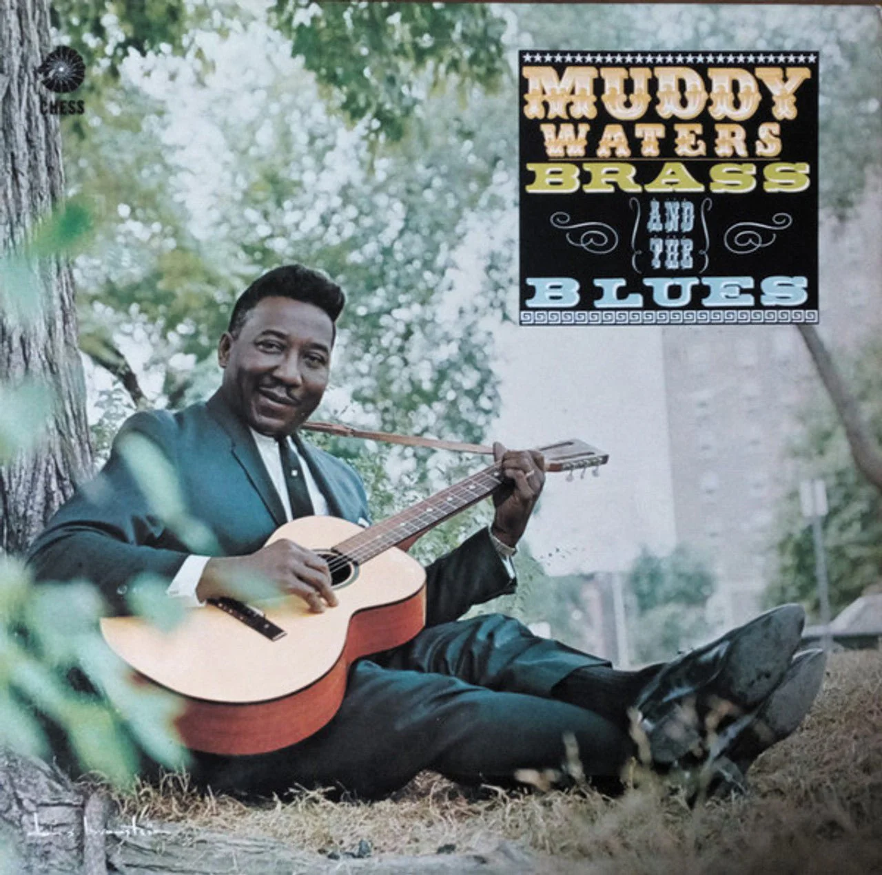 WATERS,MUDDY - MUDDY BRASS & THE BLUES Vinyl LP - Image 2