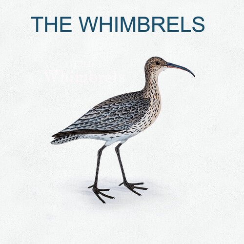 WHIMBRELS Vinyl LP
