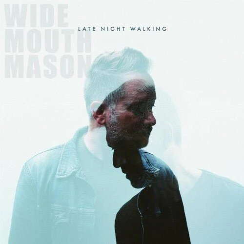 WIDE MOUTH MASON - LATE NIGHT WALKING Vinyl LP