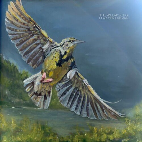 WILDWOODS - DEAR MEADOWLARK Vinyl LP