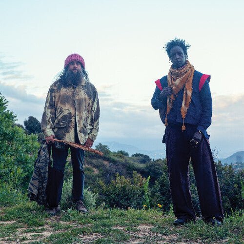 WILLIAMS,SAUL / NINO,CARLOS - SAUL WILLIAMS MEETS CARLOS NINO & FRIENDS AT Vinyl LP
