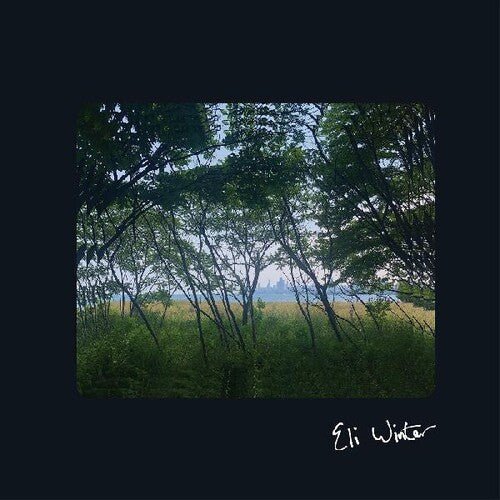 WINTER,ELI - ELI WINTER Vinyl LP