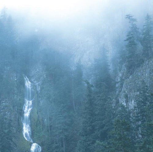 WOLVES IN THE THRONE ROOM - DIADEM OF 12 STARS Vinyl LP