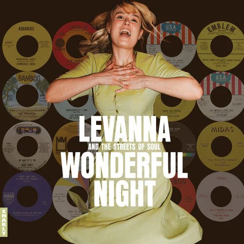 WONDERFUL NIGHT CURATED BY LEVANNA / VARIOUS Vinyl LP