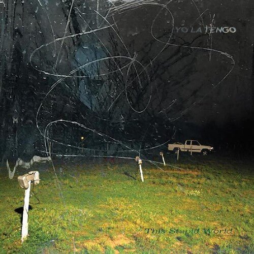 YO LA TENGO - THIS STUPID WORLD Vinyl LP