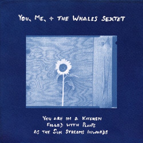 YOU, ME, + THE WHALES SEXTET - YOU ARE IN A KITCHEN FILLED WITH PLANTS AS THE SUN Vinyl LP