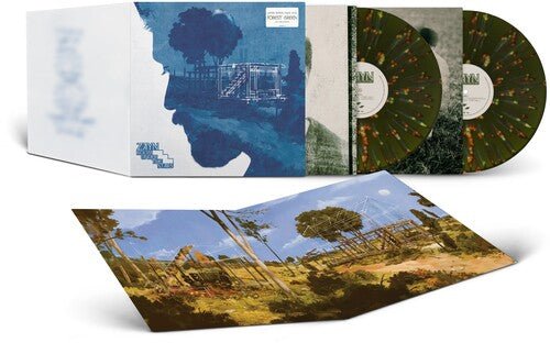 ZAYN - ROOM UNDER THE STAIRS Vinyl LP